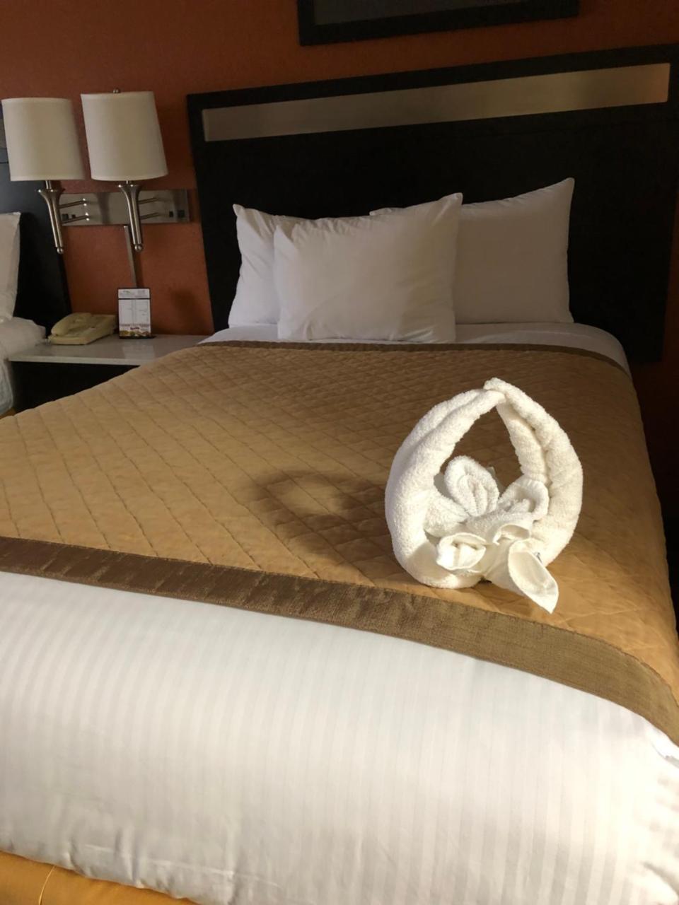Baymont By Wyndham Cincinnati Sharonville Ngoại thất bức ảnh
